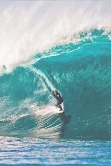 Storm-Surfers
