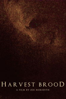 Harvest Brood