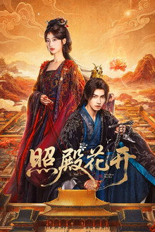 照殿花开