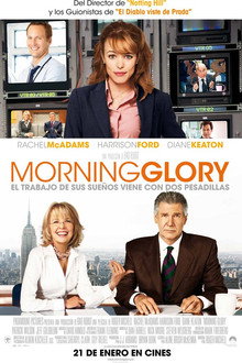 Morning Glory