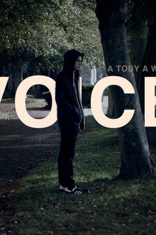 Voicemail