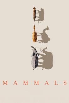Mammals Season 1 Episode 6 Mammals Season 1 Episode 6