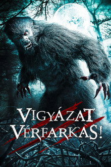 Vigyázat vérfarkas!