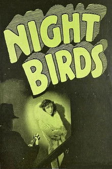 Night Birds