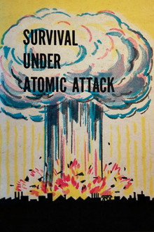 Survival Under Atomic Attack