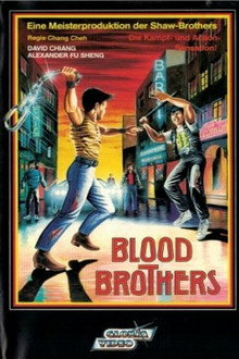 Die Blutsbrüder des Kung-Fu