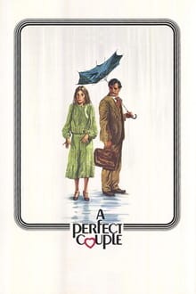 Poster do filme Um Casal Perfeito