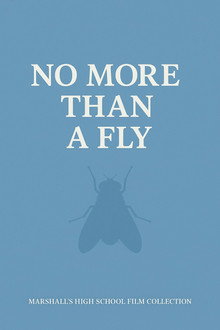 NO MORE THAN A FLY