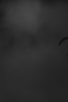 The Grudge
