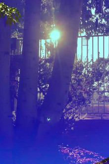 Ruminative Meditations