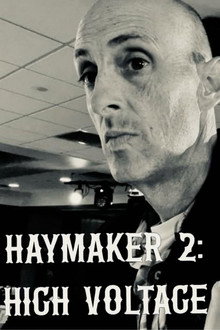 Haymaker 2: High Voltage