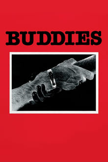 Poster do filme Buddies