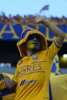 La cancha no tiene la culpa