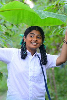 இலை