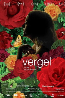 Vergel