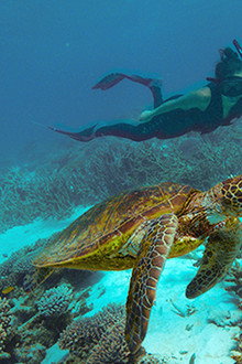 Deep-Dive...