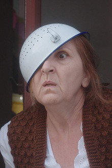 Braća po babine linije