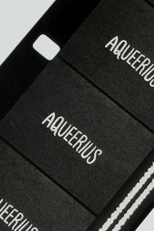 Aqueerius