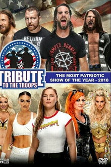 WWE Tribute to the Troops 2018