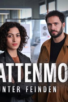 Schattenmord: Unter Feinden