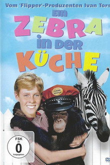 Ein Zebra in der Küche