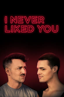 Poster da série I Never Liked You