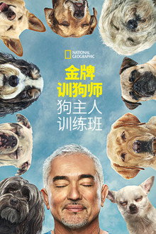 第 1 季