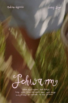 Schwarm