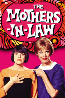 Poster da série The Mothers-in-Law
