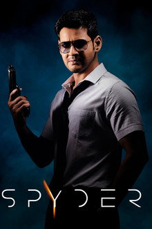 Spyder