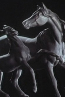 馬の歌