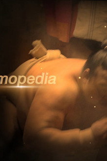Sumopedia
