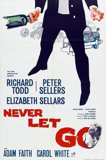 Poster do filme Never Let Go