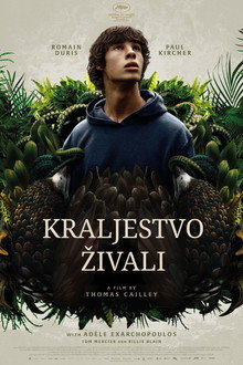 Kraljestvo živali