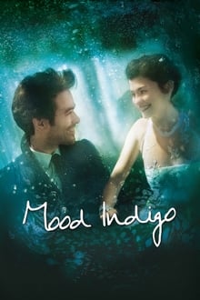 Mood Indigo movie poster
