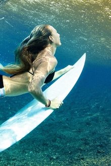 The-Tribes-of-Palos-Verdes