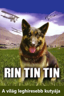 Rin Tin Tin
