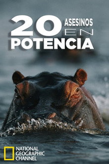 20 asesinos en potencia