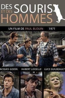 Des souris et des hommes
