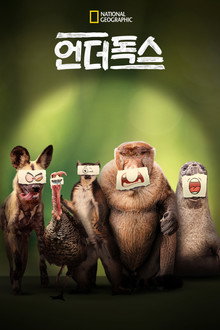 시즌 1