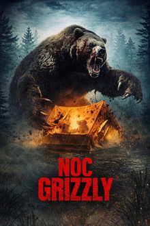 Noc Grizzly