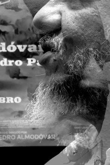 Breve