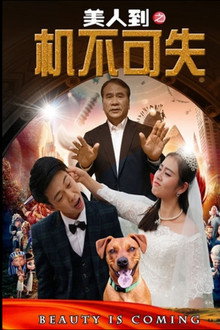 美人到之机不可失