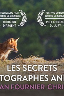 Les secrets des photographes animaliers
