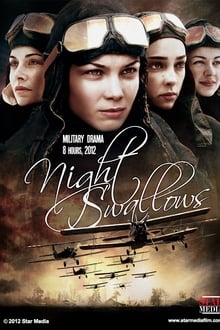 Poster da série Night Swallows