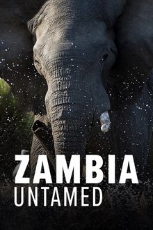 Zambia Untamed