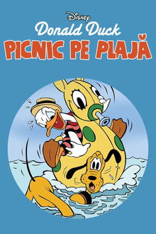 Beach Picnic