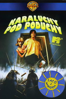 Karaluchy pod poduchy