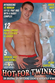 Hot for Twinks