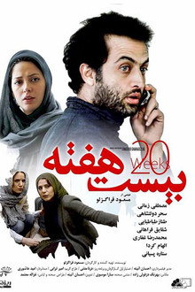 20 هفته